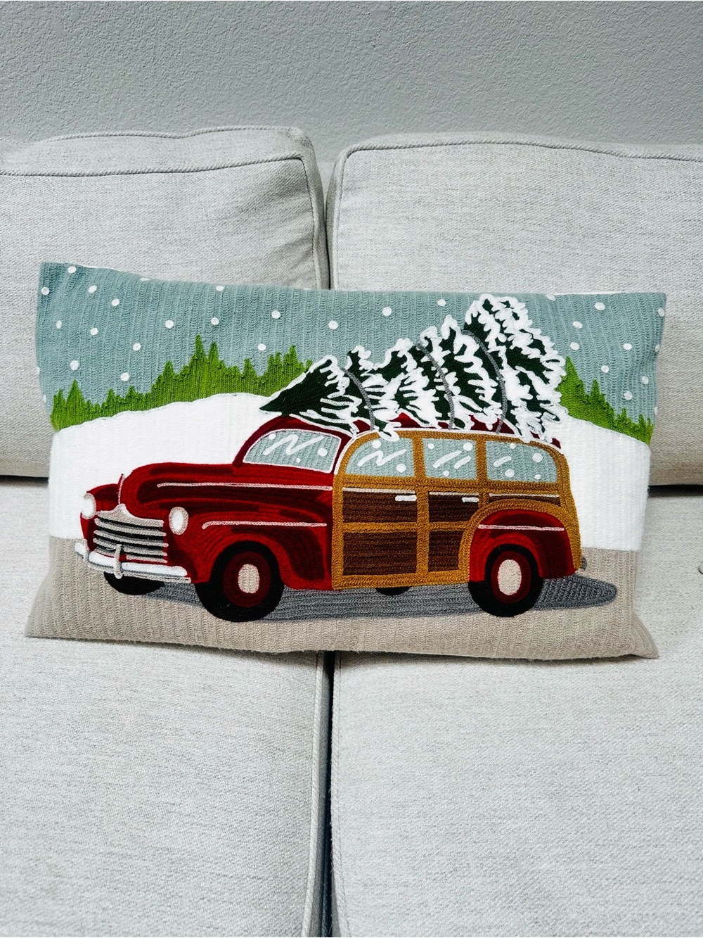 Pottery Barn Woody Car Throw Pillow & Down Insert